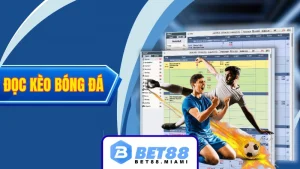 Cách đọc kèo bóng đá
