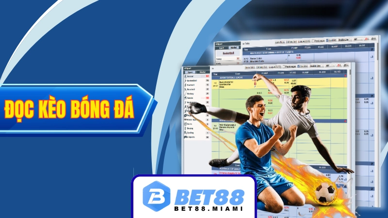 Cách đọc kèo bóng đá