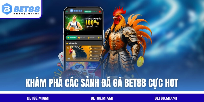 Khám phá các sảnh đá gà BET88 cực hot