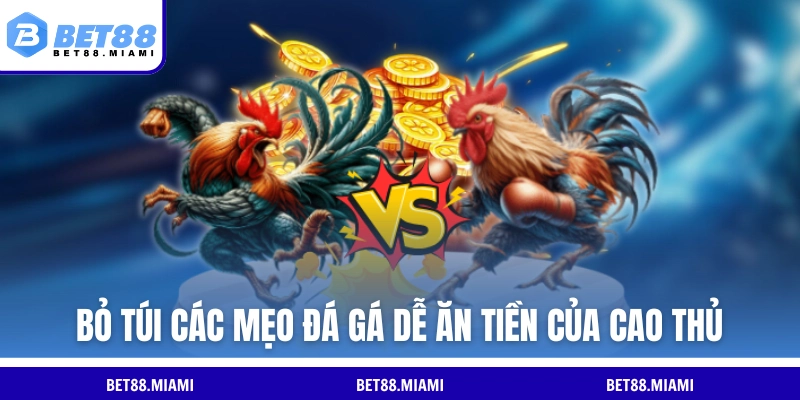 Bỏ túi các mẹo đá gà dễ ăn tiền của cao thủ