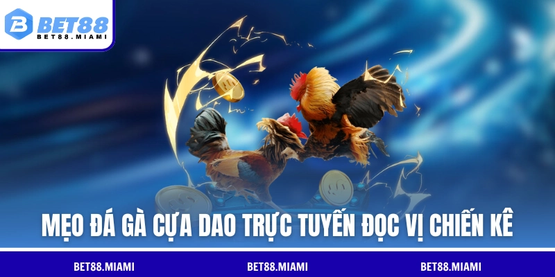 Mẹo đá gà cựa dao trực tuyến đọc vị chiến kê