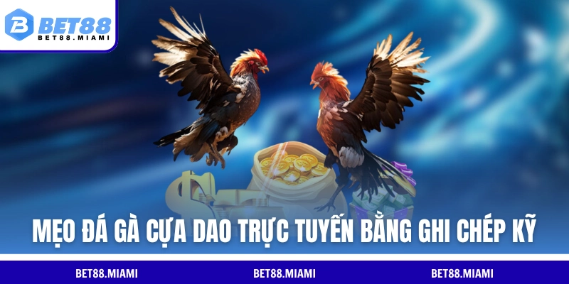 Mẹo đá gà cựa dao trực tuyến bằng ghi chép kỹ