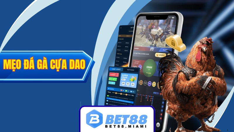 Mẹo đá gà cựa dao trực tuyến