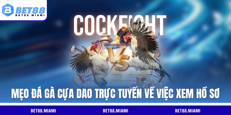 Mẹo đá gà cựa dao trực tuyến về việc xem hồ sơ