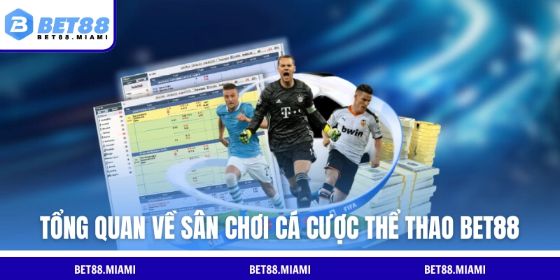 Tổng quan về sân chơi cá cược thể thao BET88